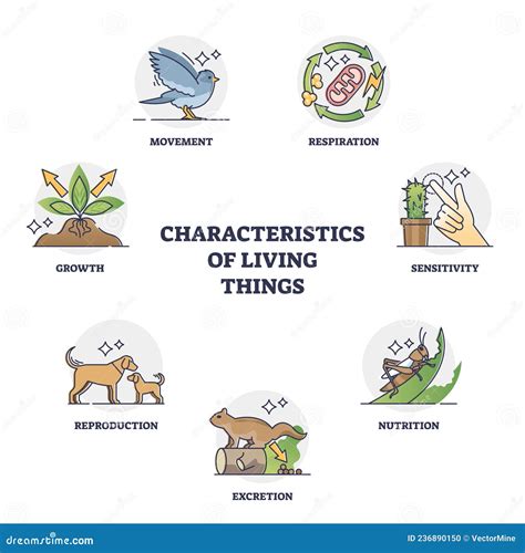 drawing of living things|Characteristics of living things .